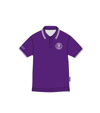 紫色短袖Polo