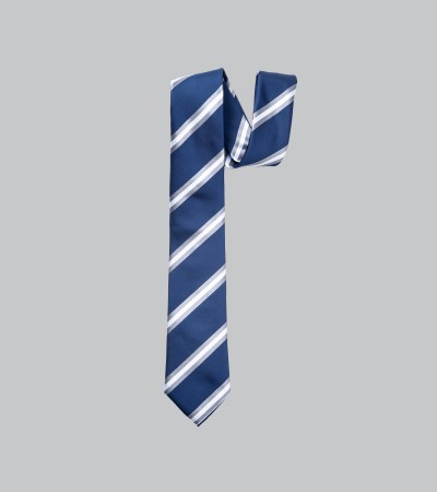Y6-Y11领带